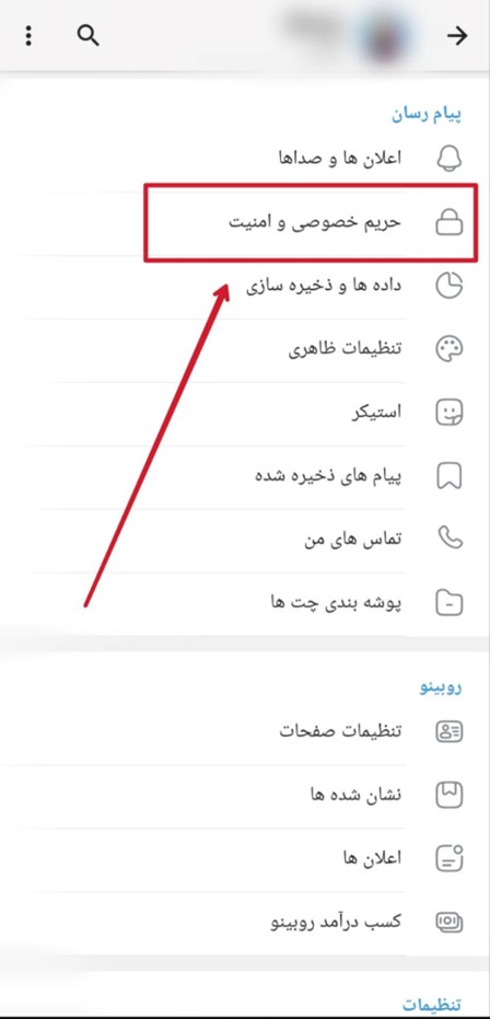 مخفی کردن پروفایل روبیکا